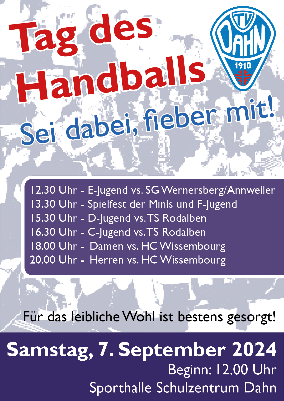 Plakat Tag des Handballs 2024